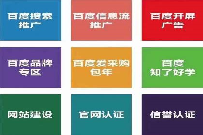 某sem公司成功案例揭秘